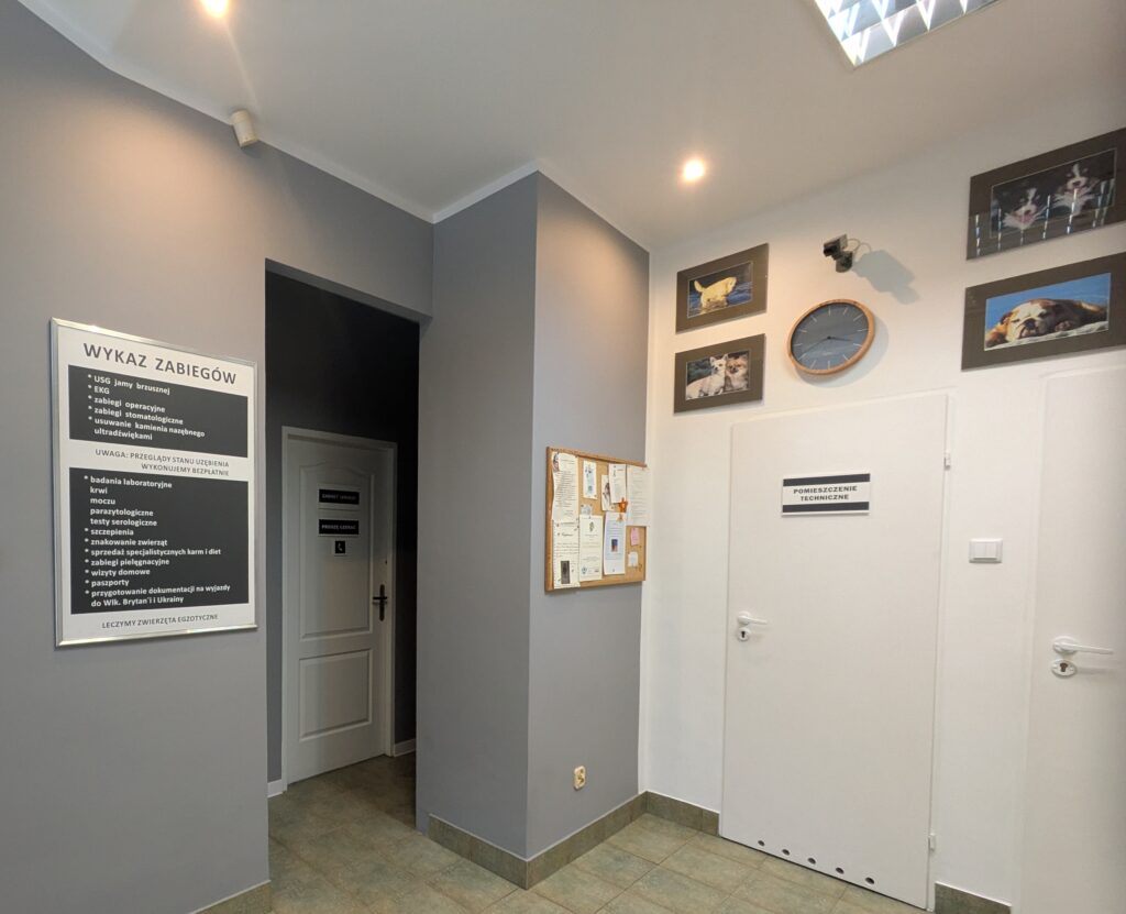 PXL_20250301_144058181