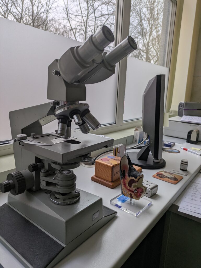 PXL_20250301_145226749